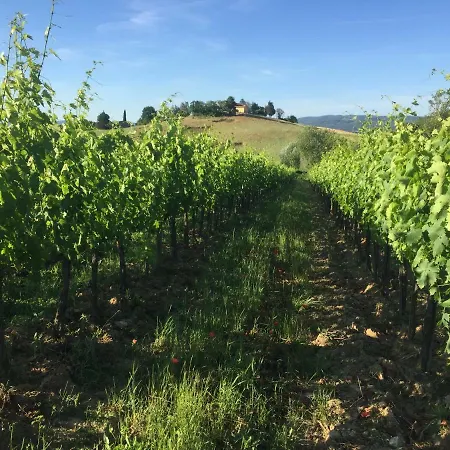 Vakantieboerderij Poggio Pietra 26 Porrona