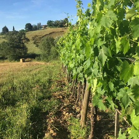 Poggio Pietra 26 *