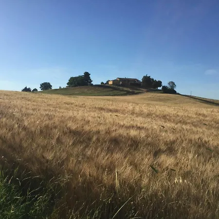 Poggio Pietra 26 Feriegård Porrona