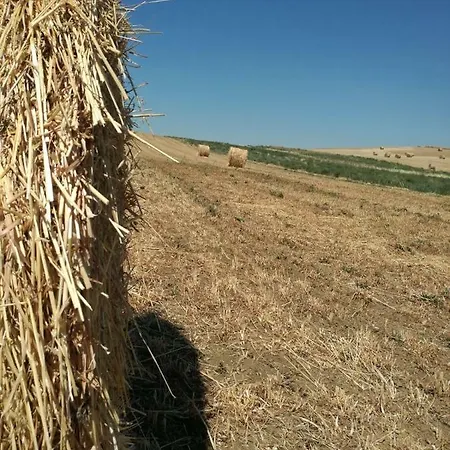 Vakantieboerderij Poggio Pietra 26 Porrona